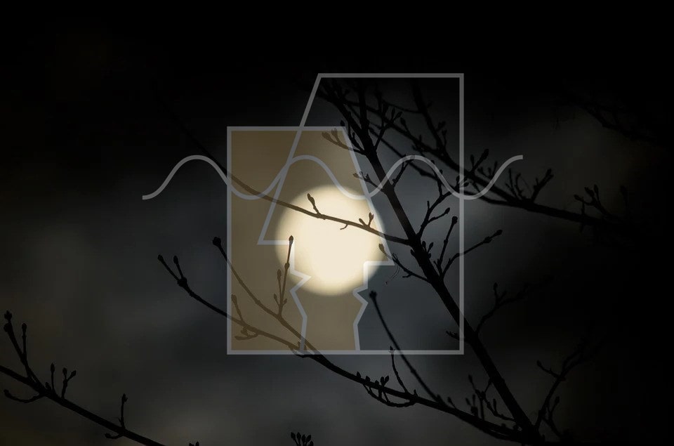 ترس از شب